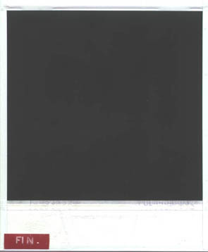 polaroid fin.jpg
